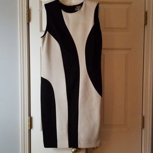 Taylor Black/Cream Dress